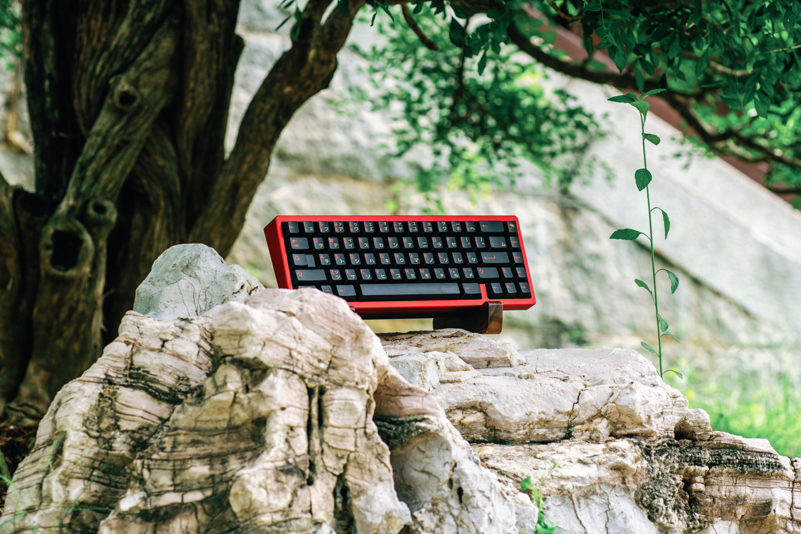Custom Keyboards