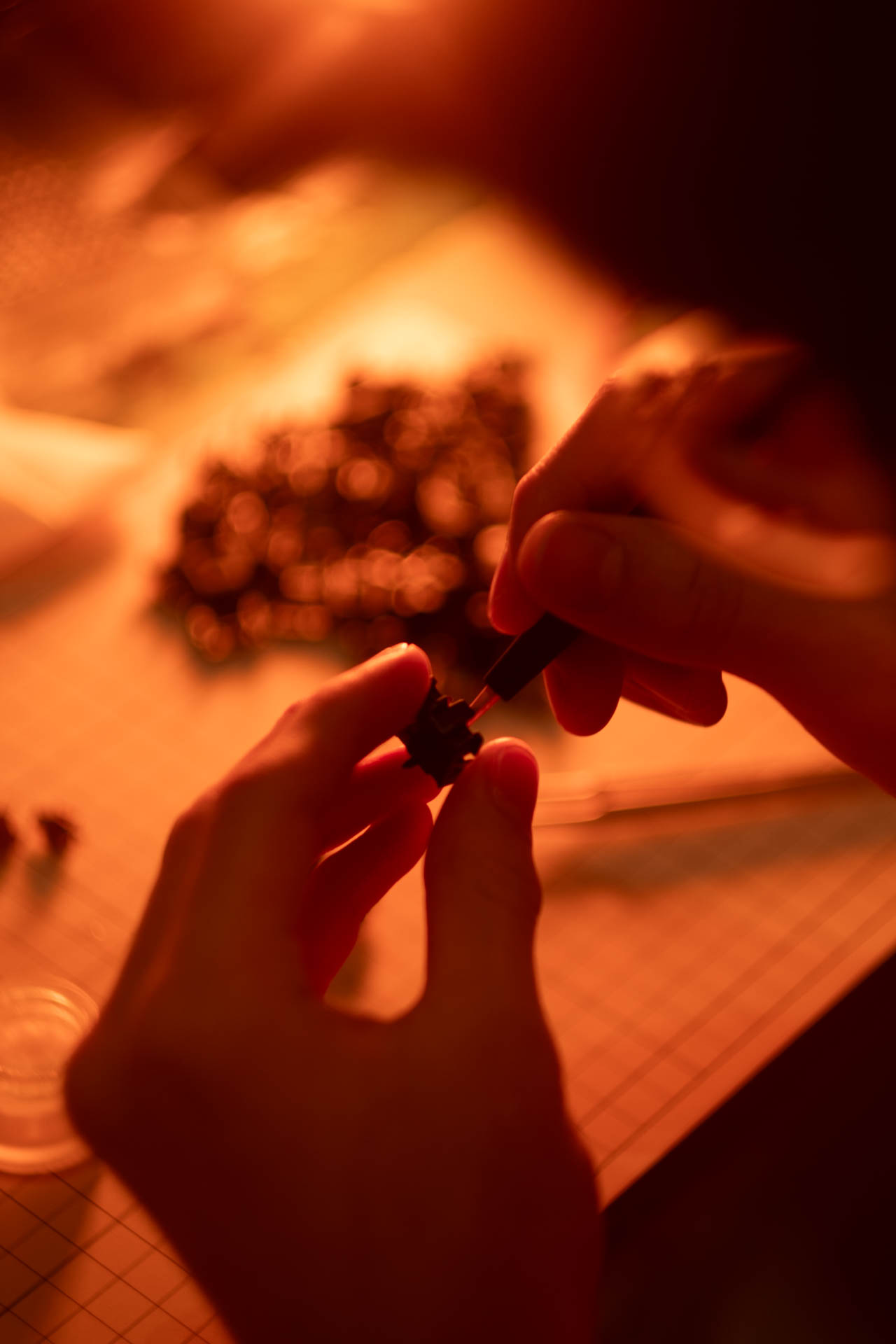 Hand Lubing Service — Linear & Tactile Switches